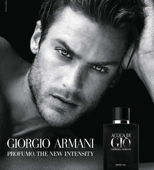 Giorgio Armani Acqua Di Gio Profumo Pour Homme